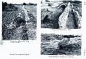 Carthage aq 111